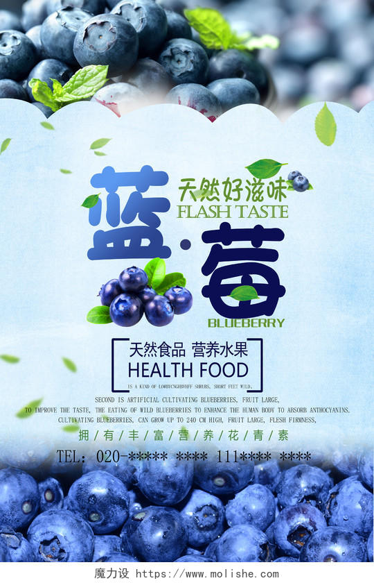 蓝色天然水果背景新鲜蓝莓海报设计